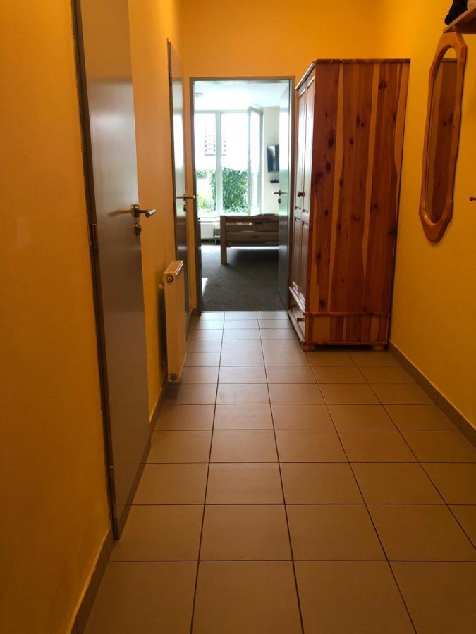 Apartment Certovka 哈拉霍夫 外观 照片
